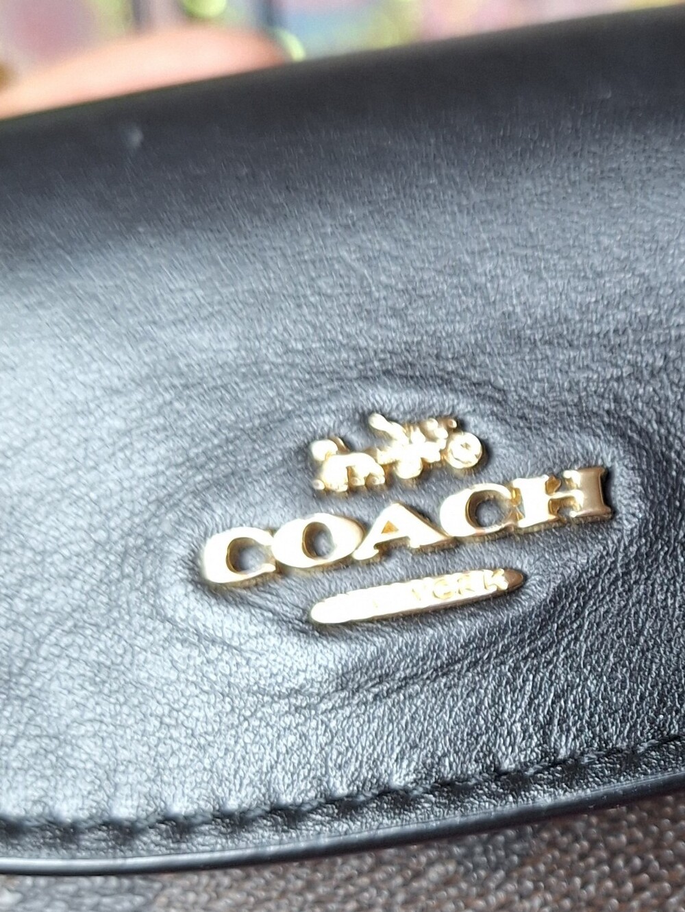 Coach Mini Signature - Picture 5 of 12